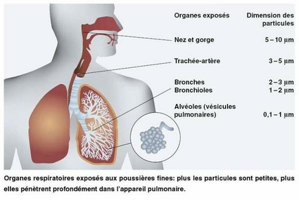 Exposition-aux-PM-OFEV